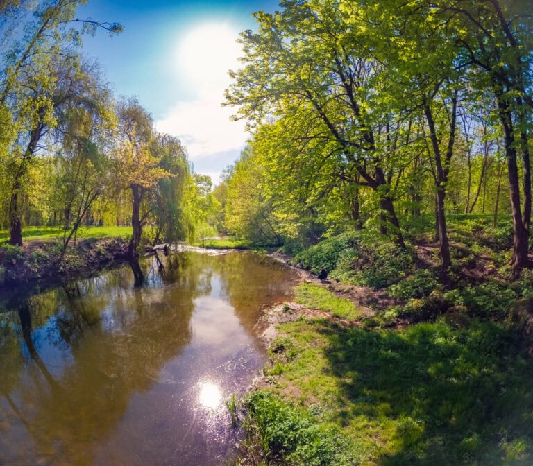 fear disguised as logic hidden fear in decision making founder fear of judgment overcoming identity-based fear fear vs intuition in business approval vs authenticity for founders internal blocks in entrepreneurship fear-based thinking patterns