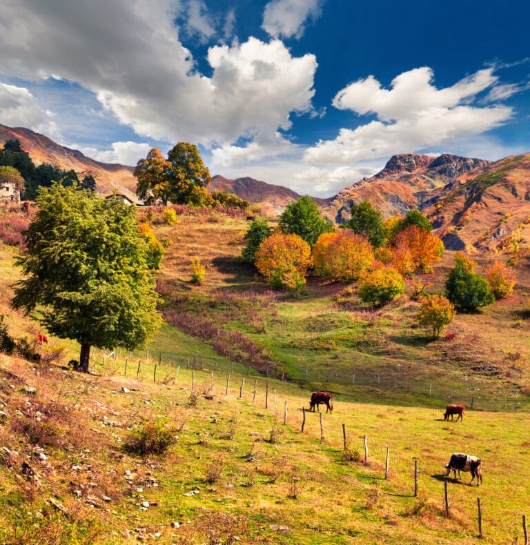 beliefs shape results how beliefs affect business outcomes changing beliefs for better results founder belief systems beliefs and decision making conscious belief change