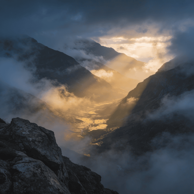 business survival mindset operating in survival mode stress response in leadership urgency vs strategy in business emotional triggers in entrepreneurship business owner burnout founder decision fatigue reactive leadership panic-driven decisions leadership under pressure