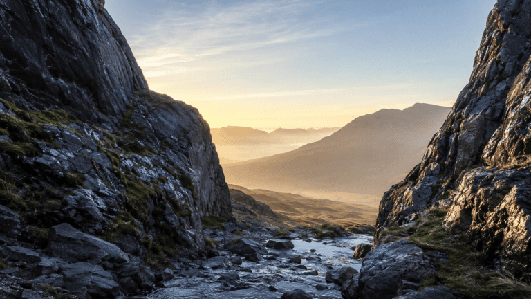 leadership without fear love in leadership emotionally intelligent leadership leadership mindset leading with love fear-based leadership self-love for leaders leadership and trust compassionate leadership