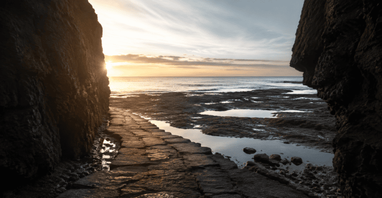 delaying happiness postponing happiness success and happiness sacrificing happiness for success enjoying life now work-life balance for founders founder burnout happiness and achievement workaholism and success finding happiness beyond success